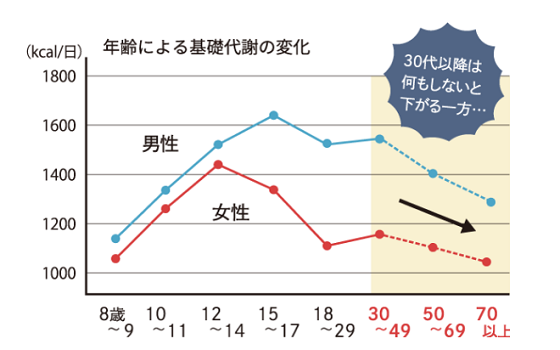 ウェルネスダイニング　基礎代謝