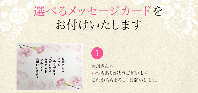 わんまいる ギフト