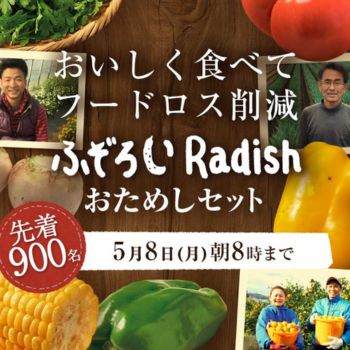 らでぃっしゅぼーや ふぞろいRadish