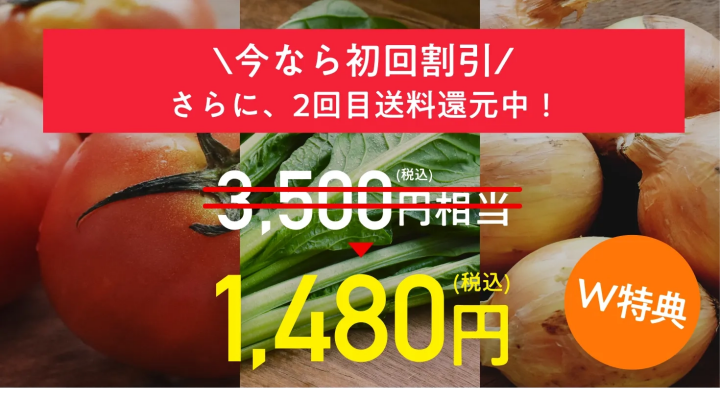 初回割引