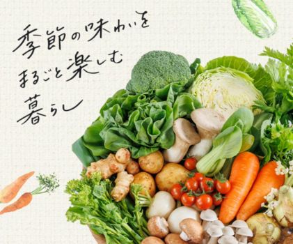 坂ノ途中　野菜