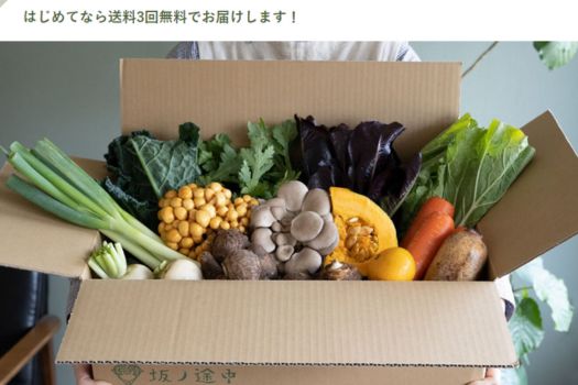 坂ノ途中 野菜セット