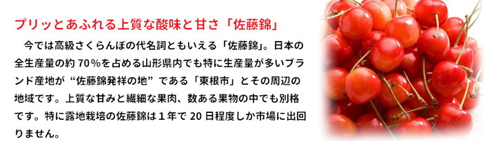 タウンライフマルシェ　追加料金なし