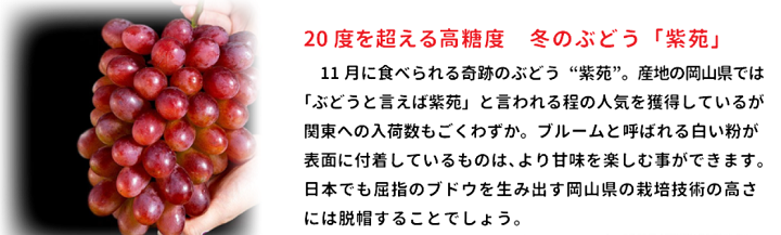 タウンライフマルシェ　希少品種