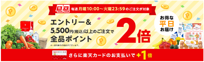 楽天ポイント2倍デーの説明画像