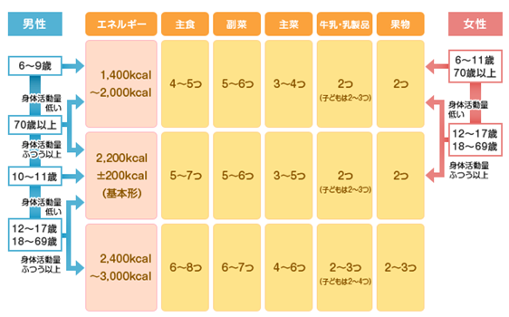 成人　1日のカロリー基準